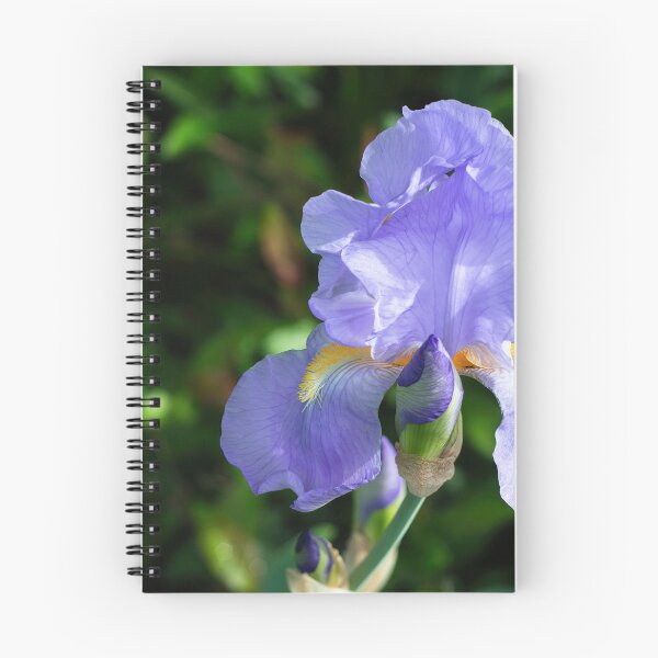 Item preview, Iris flower  designed and sold by ArtyBuys.