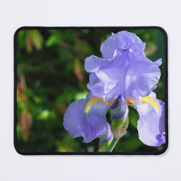 Item preview, Iris flower  designed and sold by ArtyBuys.