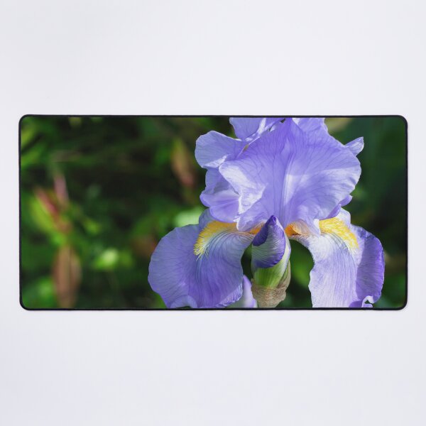 Item preview, Iris flower designed and sold by ArtyBuys.