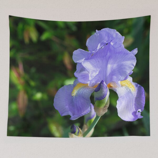 Item preview, Iris flower  designed and sold by ArtyBuys.