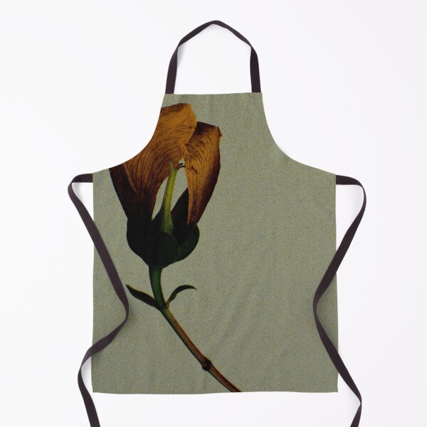 Item preview, 0 designed and sold by Möbius ..