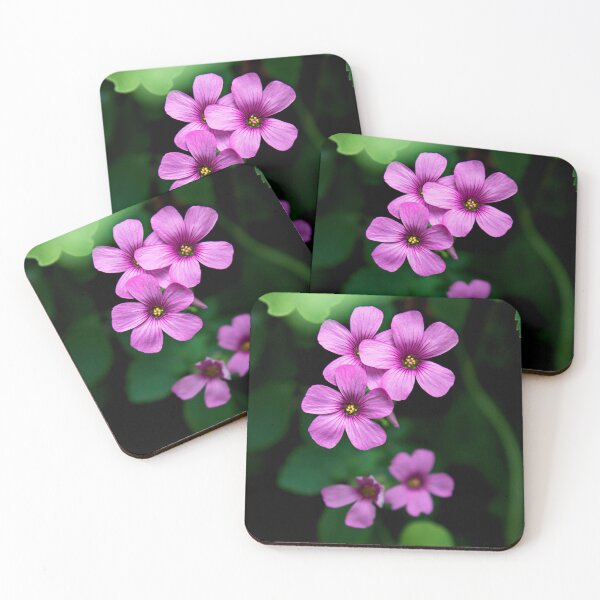 Item preview, Wood Sorrel Wildflowers designed and sold by Terri Fox Creatives.