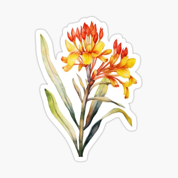 Item preview, Native Australian Watercolor Flower, Kangaroo Paw (Anigozanthos) designed and sold by PapuruDesigns.
