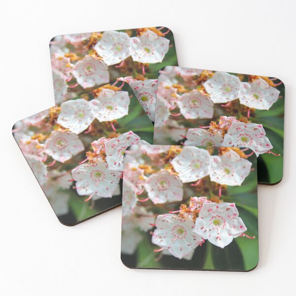 Item preview, Mountain Laurel Flowers designed and sold by EA-Fisher.