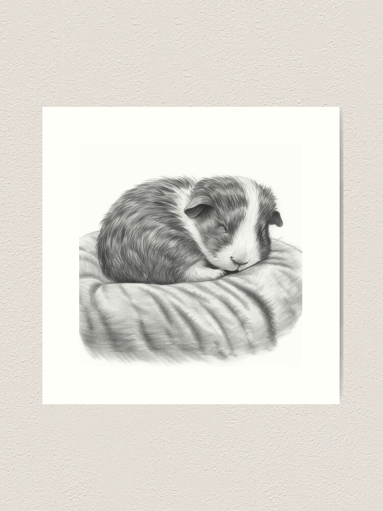 Guinea pig baby in studio available as Framed Prints, Photos, Wall