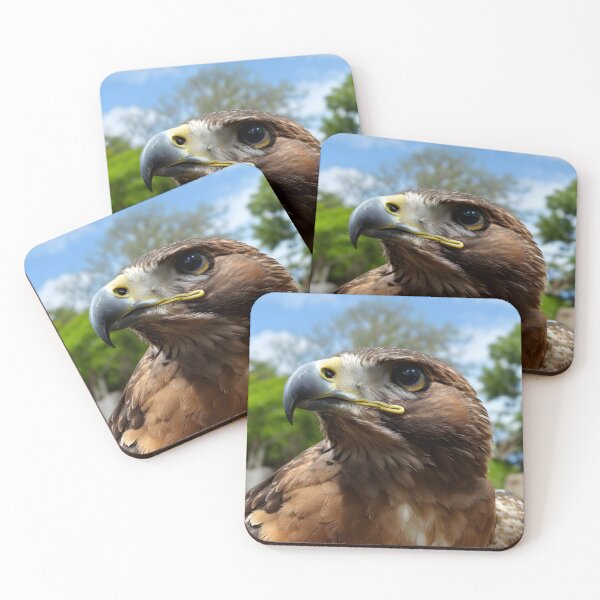 Item preview, Red-Tailed Hawk Artwork designed and sold by Ospreywithafish.