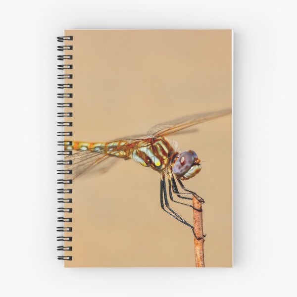 Item preview, Dragonfly  designed and sold by Jake Larkin.