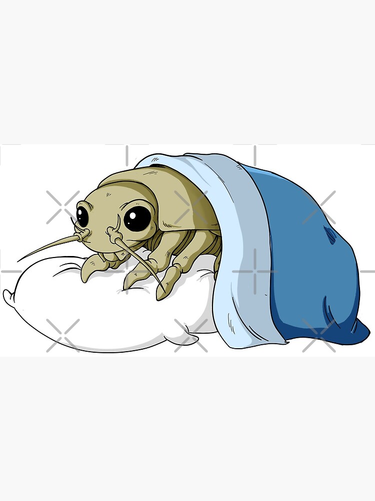 kawaii isopod