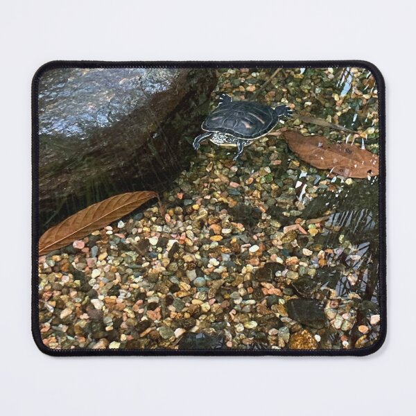 Item preview, Turtle in Pond designed and sold by sebrahn.
