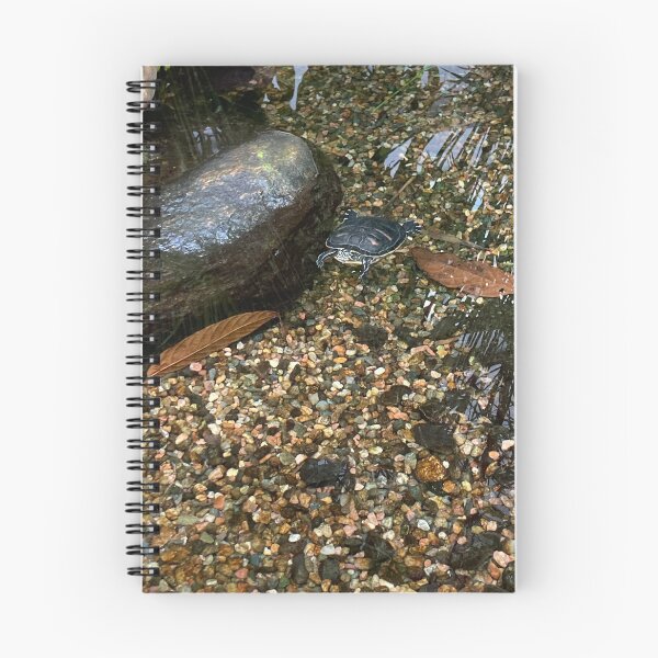Item preview, Turtle in Pond designed and sold by sebrahn.