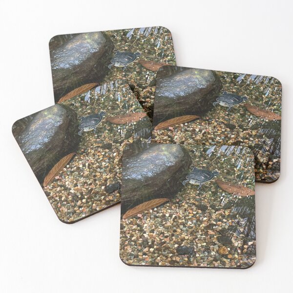 Item preview, Turtle in Pond designed and sold by sebrahn.