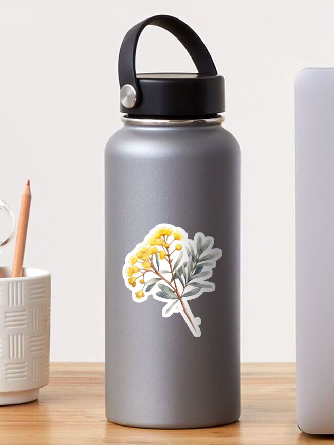 Thumbnail 1 of 3, Sticker, Native Australian Flora, Flower, Golden Wattle (Acacia pycnantha) designed and sold by PapuruDesigns.