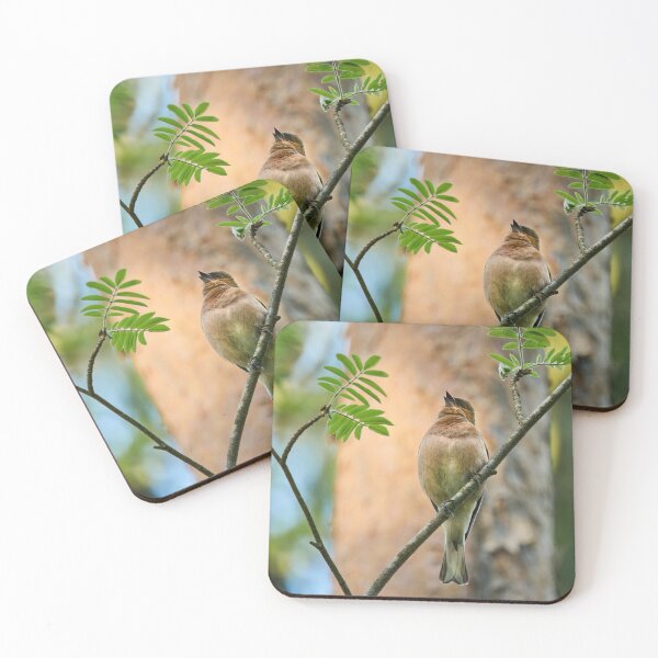 Item preview, Songs for the beauty of the world. Chaffinch designed and sold by Jouko Lehto Photography.