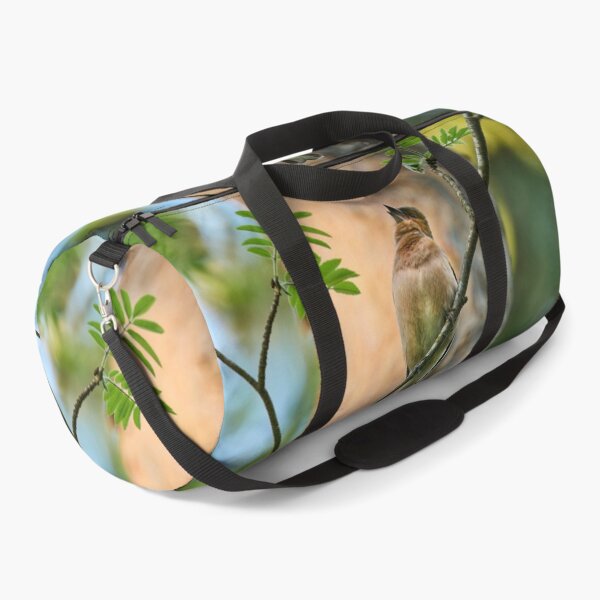 Item preview, Songs for the beauty of the world. Chaffinch designed and sold by Jouko Lehto Photography.