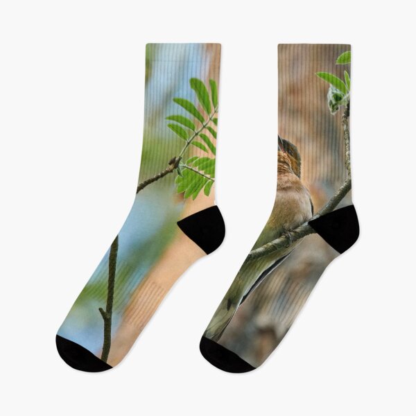 Item preview, Songs for the beauty of the world. Chaffinch designed and sold by Jouko Lehto Photography.