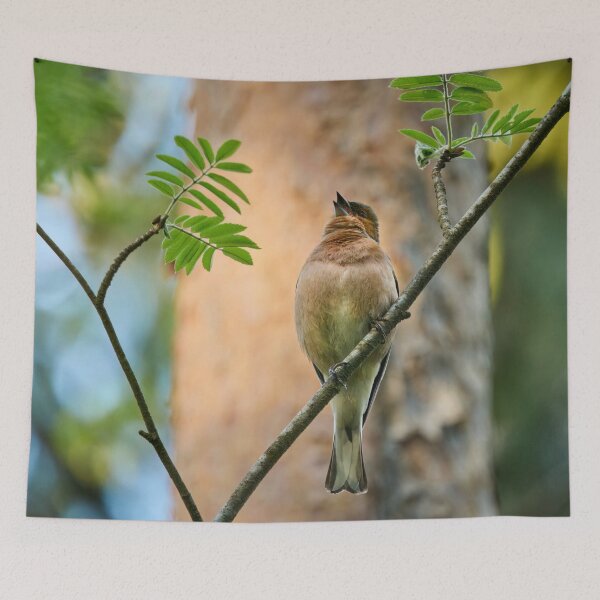 Item preview, Songs for the beauty of the world. Chaffinch designed and sold by Jouko Lehto Photography.