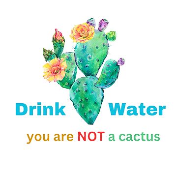 Can You Drink Water from a Cactus?