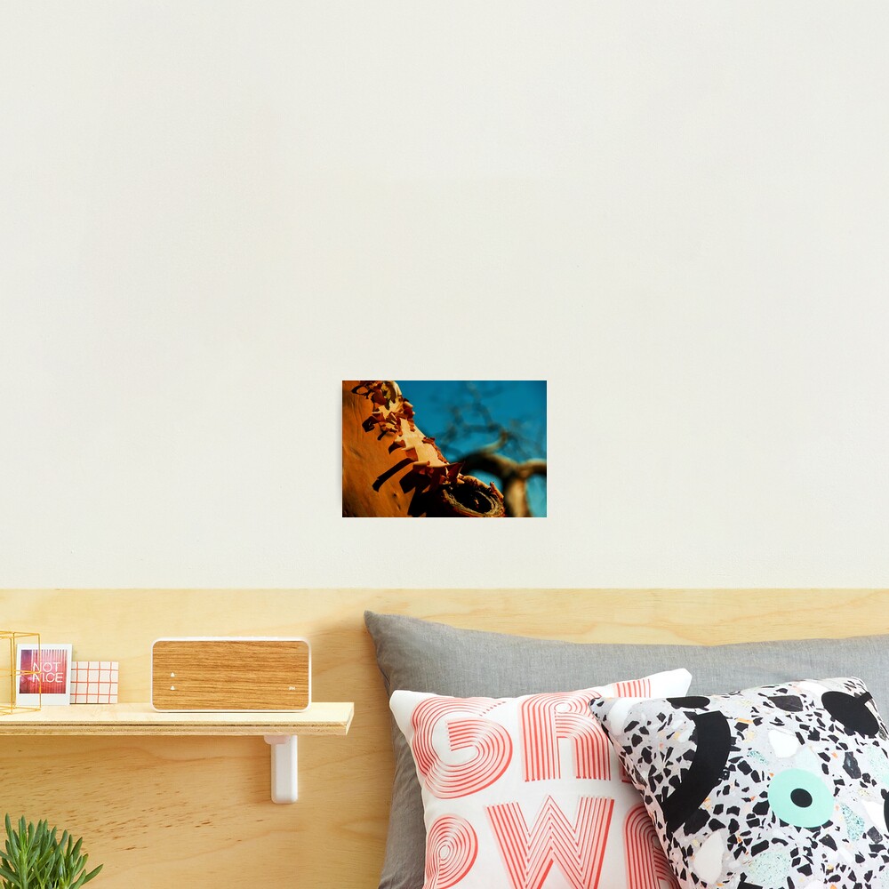 Item preview, Photographic Print designed and sold by DaogreerEarth.
