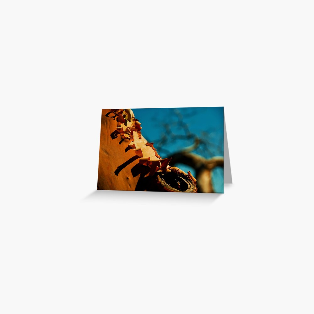 Item preview, Greeting Card designed and sold by DaogreerEarth.