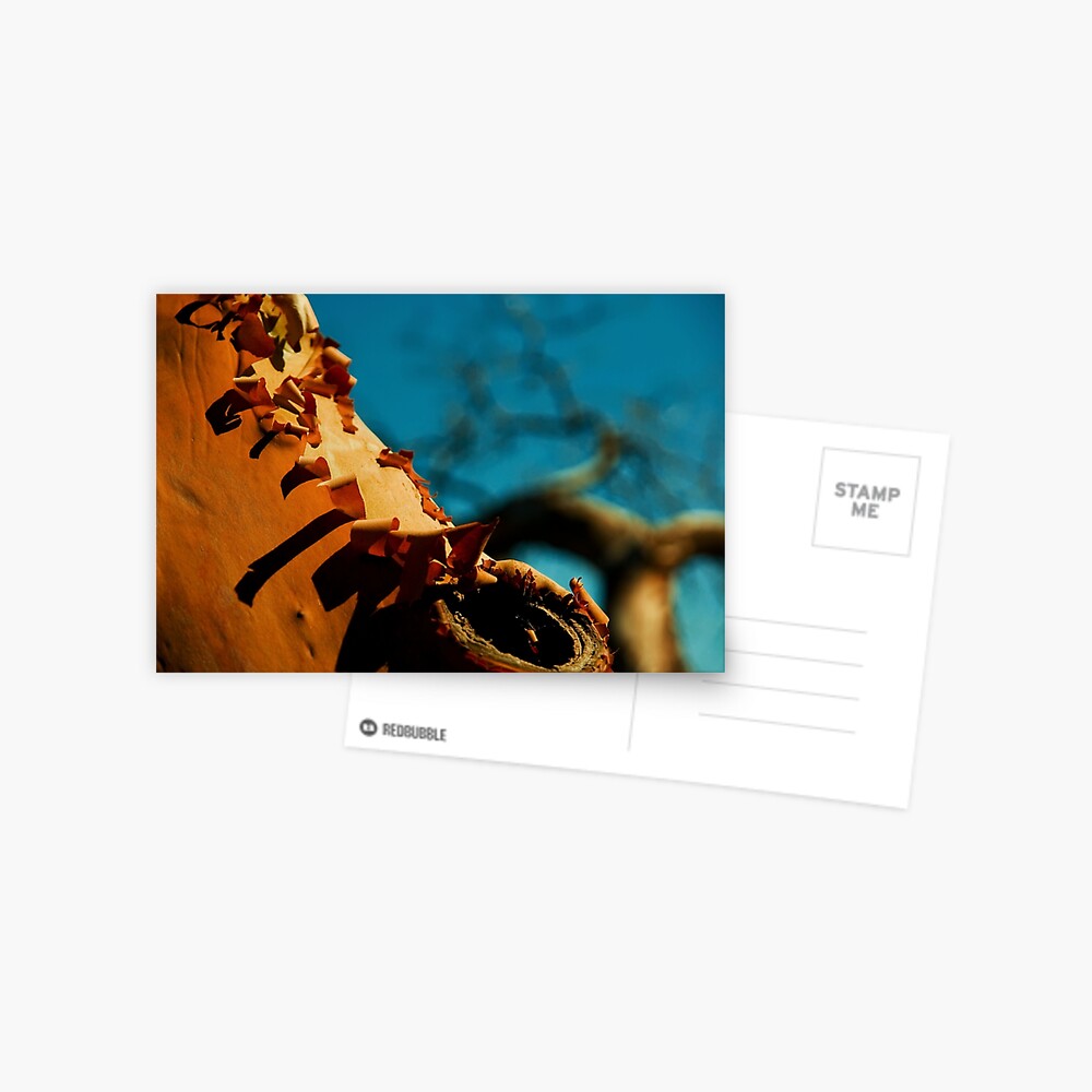 Item preview, Postcard designed and sold by DaogreerEarth.