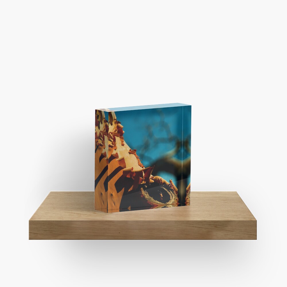 Item preview, Acrylic Block designed and sold by DaogreerEarth.