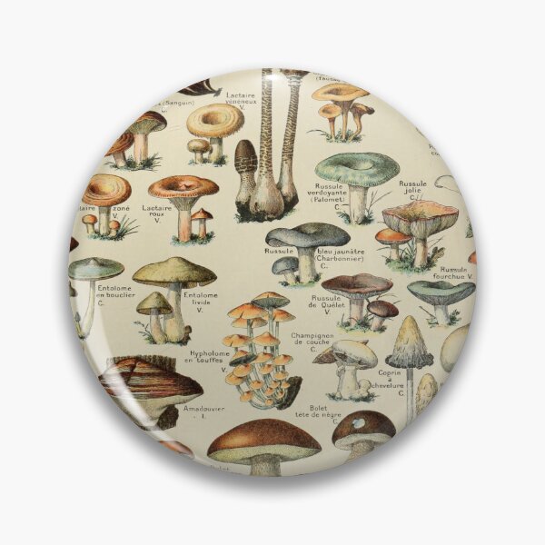 Item preview, Vintage Art Adolphe Millot champignons designed and sold by MariaFrancisco.