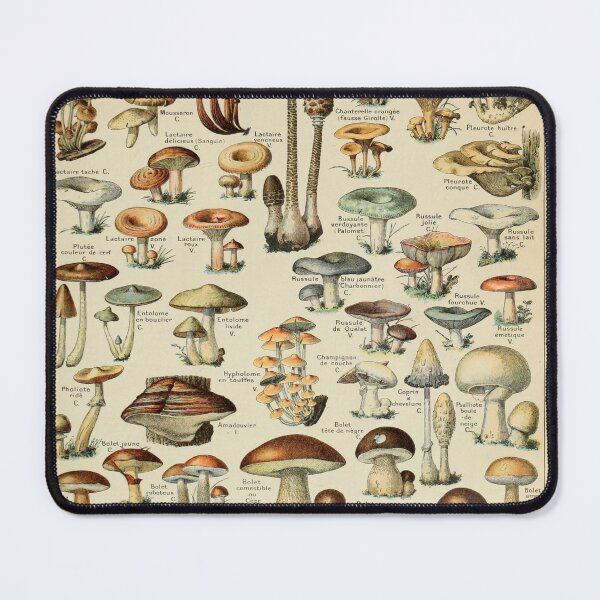 Item preview, Vintage Art Adolphe Millot champignons designed and sold by MariaFrancisco.