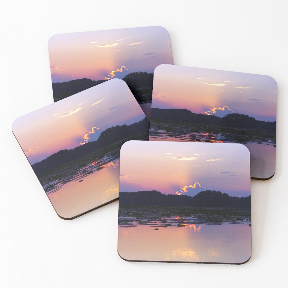 Item preview, Coasters (Set of 4) designed and sold by RScaptor.