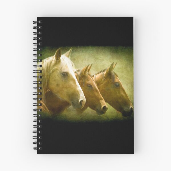 Item preview, Brumbies Three designed and sold by Clare Colins.