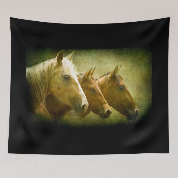 Item preview, Brumbies Three designed and sold by Clare Colins.