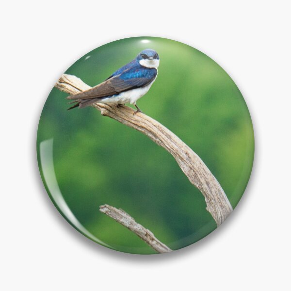 Item preview, Tree Swallow designed and sold by irishmurr.