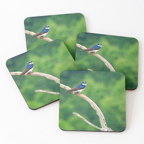 Item preview, Tree Swallow designed and sold by irishmurr.