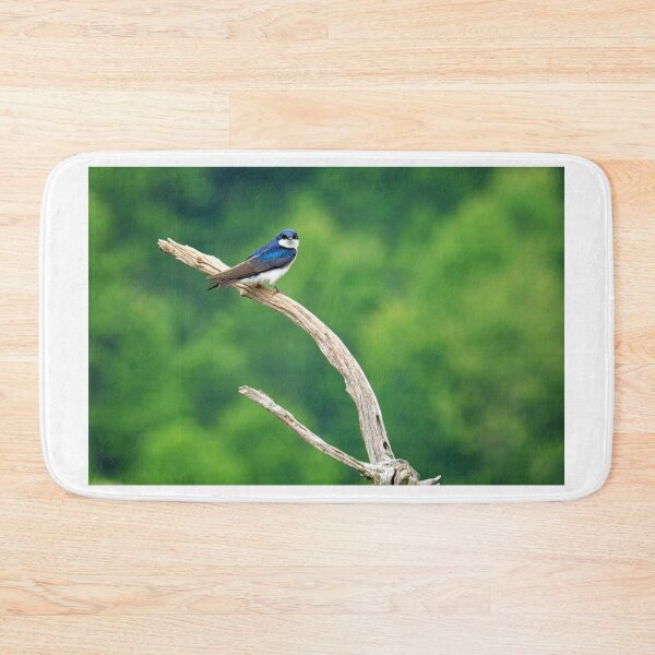 Item preview, Tree Swallow designed and sold by irishmurr.