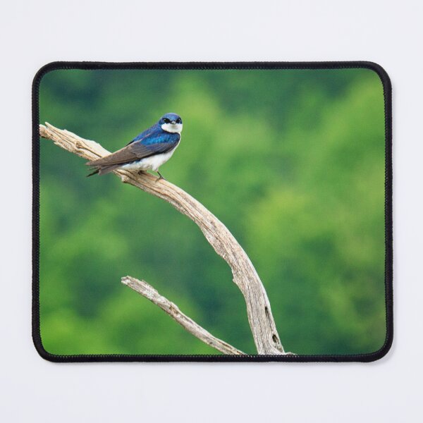 Item preview, Tree Swallow designed and sold by irishmurr.