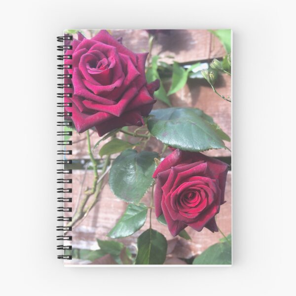 Item preview, Rose image  designed and sold by Shannonsaw999e.