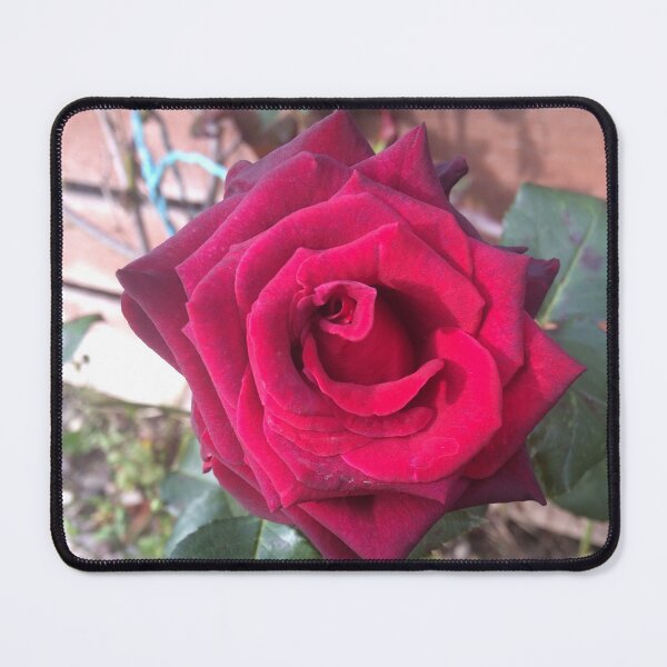 Item preview, Red rose flower designed and sold by Shannonsaw999e.