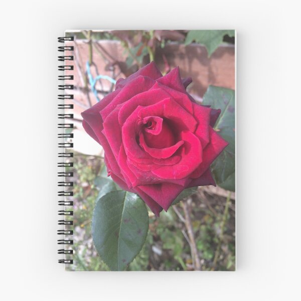 Item preview, Red rose flower designed and sold by Shannonsaw999e.