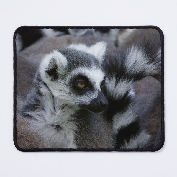Item preview, Just-woke-up lemur designed and sold by Anirutgu.