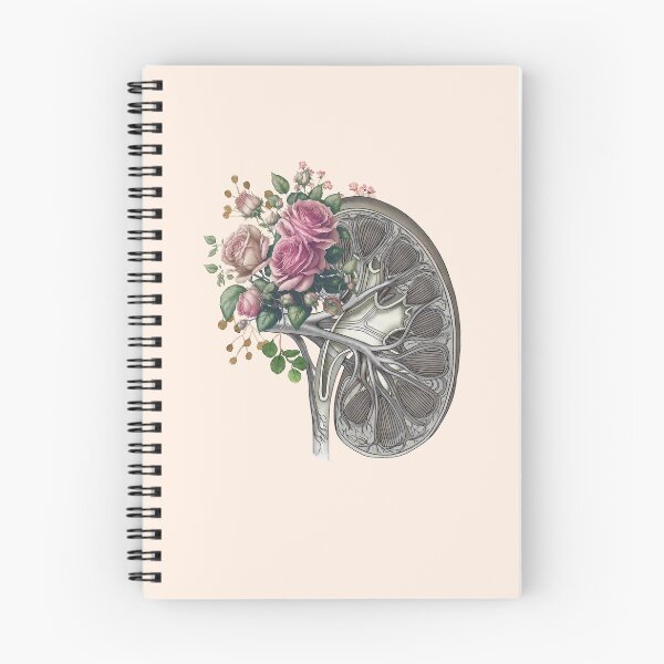 Item preview, Kidney section and pink  roses, the importance of kidney health, kidney transplantation, kidney designed and sold by Collagedream.
