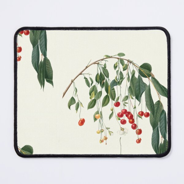 Item preview, Visciola Cherries designed and sold by Kostjani.