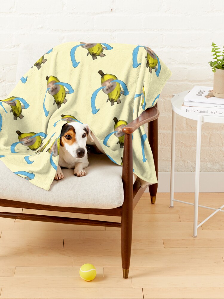 https://ih1.redbubble.net/image.5053845027.9198/ur,pet_blanket_small_lifestyle_chair,tall_portrait,750x1000.jpg