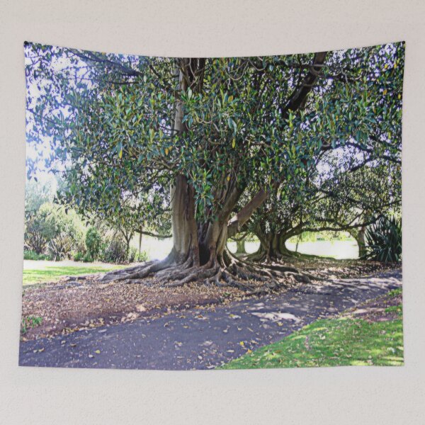 Item preview, Bare Rooted Tree designed and sold by cjcphotography.