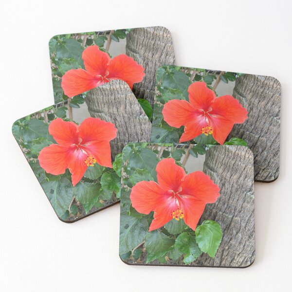 Item preview, Exotic Hibiscus designed and sold by aurorarealis.