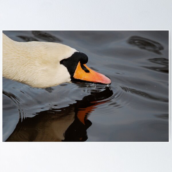 Item preview, Ripples and Dribbles designed and sold by dougie1.