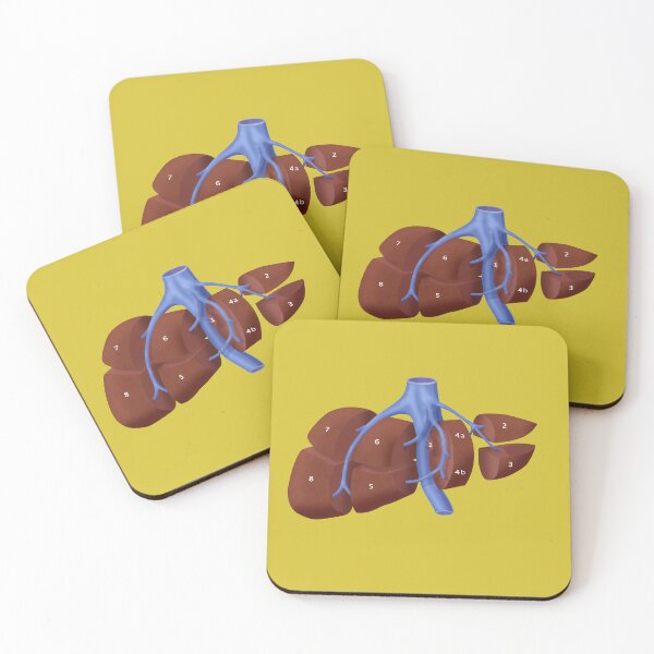 Item preview, Liver Anatomy Showing Segments designed and sold by ScienceSource.