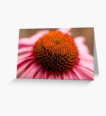 First Evidence Greeting Card