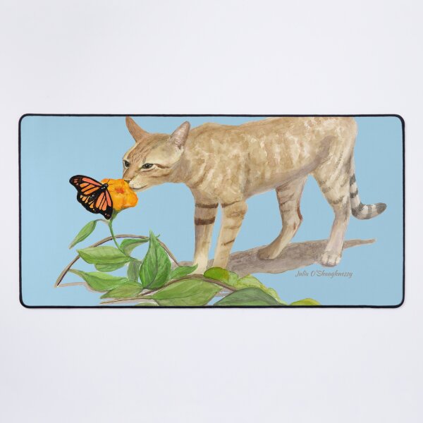 Item preview, Mexican Beach Cat designed and sold by Julia O'Shaughnessy.