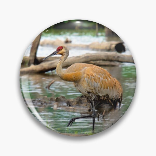 Item preview, Sandhill Crane designed and sold by irishmurr.