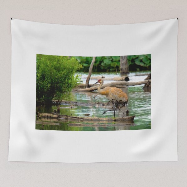 Item preview, Sandhill Crane designed and sold by irishmurr.