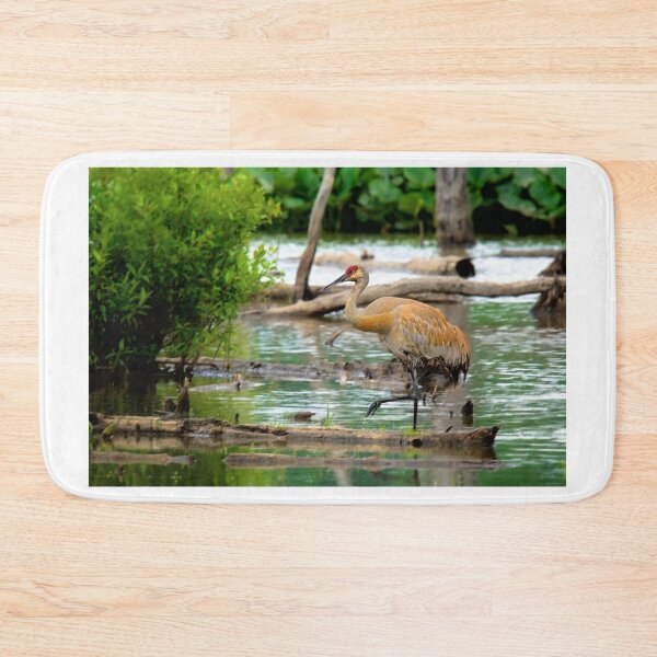 Item preview, Sandhill Crane designed and sold by irishmurr.